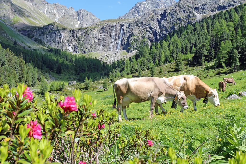 Pension Fuchs Пфундс Экстерьер фото